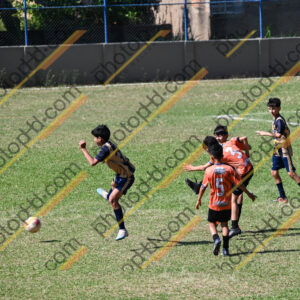 Campeonato Novos Talentos em Ouro Fino
