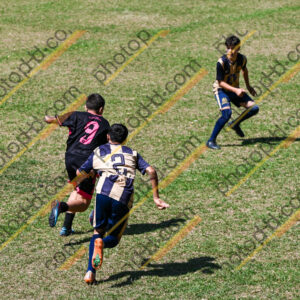 Campeonato Novos Talentos em Ouro Fino