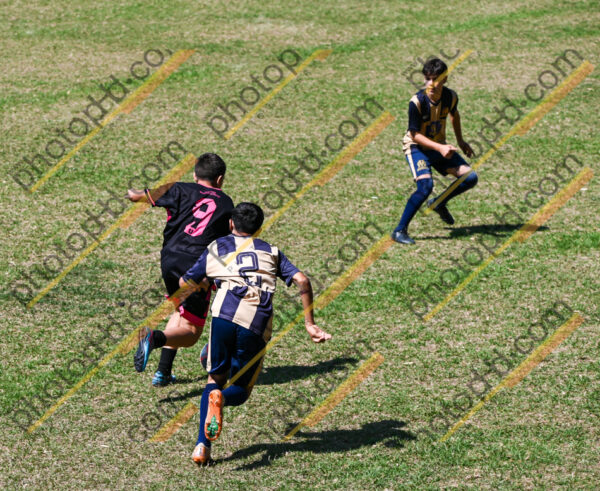 Campeonato Novos Talentos em Ouro Fino