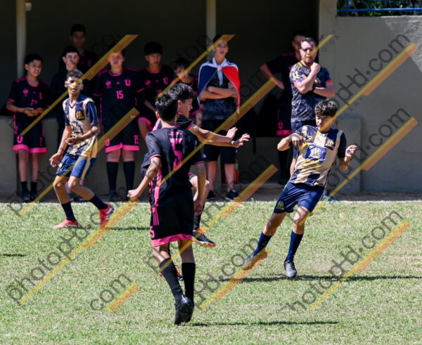 Campeonato Novos Talentos em Ouro Fino