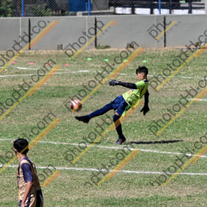 Campeonato Novos Talentos em Ouro Fino