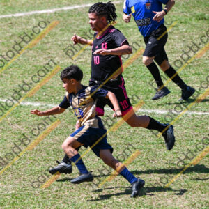 Campeonato Novos Talentos em Ouro Fino