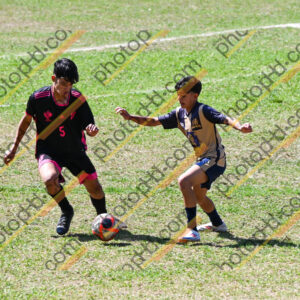 Campeonato Novos Talentos em Ouro Fino