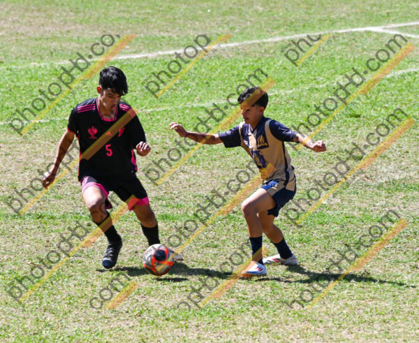Campeonato Novos Talentos em Ouro Fino