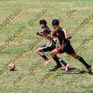 Campeonato Novos Talentos em Ouro Fino