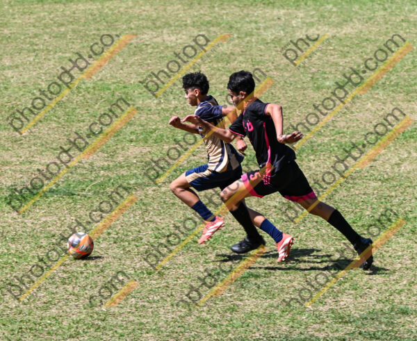 Campeonato Novos Talentos em Ouro Fino