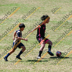 Campeonato Novos Talentos em Ouro Fino