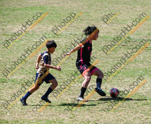 Campeonato Novos Talentos em Ouro Fino