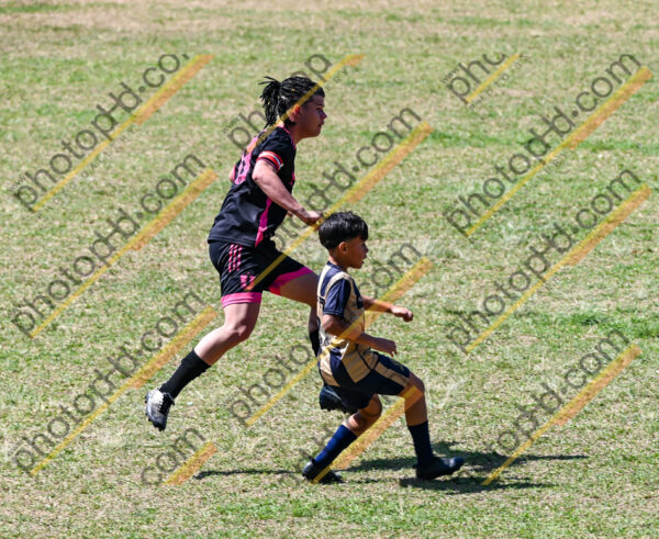 Campeonato Novos Talentos em Ouro Fino