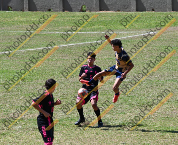 Campeonato Novos Talentos em Ouro Fino