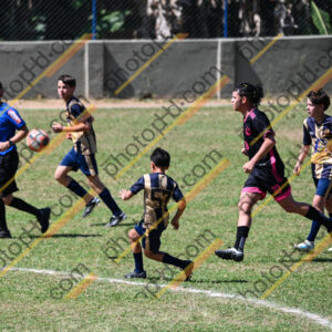 Campeonato Novos Talentos em Ouro Fino