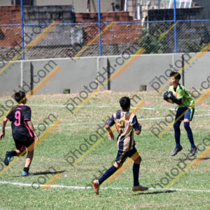 Campeonato Novos Talentos em Ouro Fino