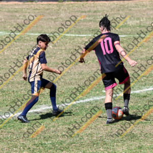 Campeonato Novos Talentos em Ouro Fino