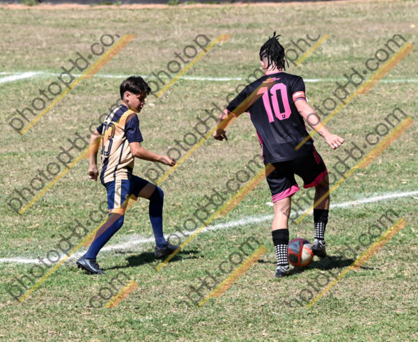 Campeonato Novos Talentos em Ouro Fino