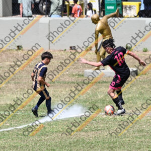 Campeonato Novos Talentos em Ouro Fino