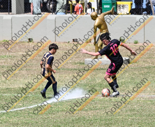 Campeonato Novos Talentos em Ouro Fino