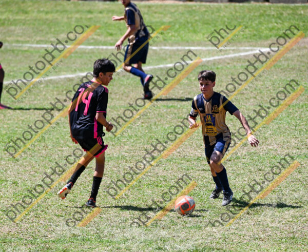 Campeonato Novos Talentos em Ouro Fino