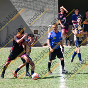 Campeonato Novos Talentos em Ouro Fino