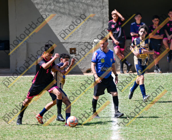 Campeonato Novos Talentos em Ouro Fino