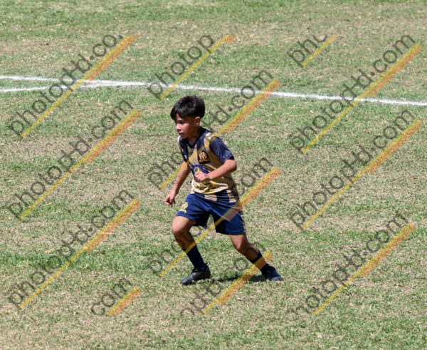 Campeonato Novos Talentos em Ouro Fino