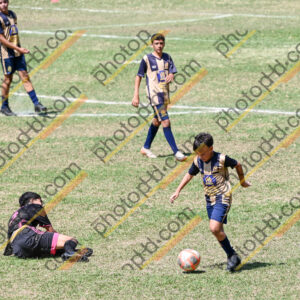 Campeonato Novos Talentos em Ouro Fino