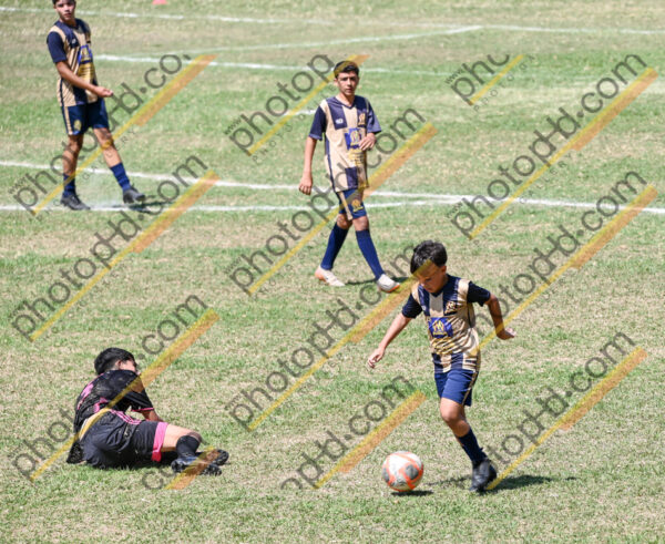 Campeonato Novos Talentos em Ouro Fino