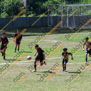 Campeonato Novos Talentos em Ouro Fino