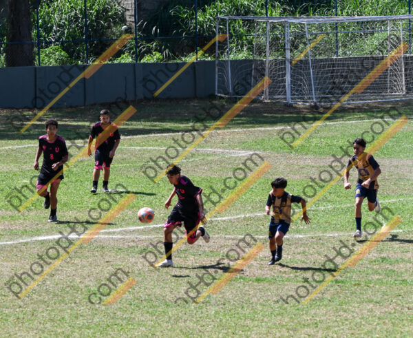 Campeonato Novos Talentos em Ouro Fino