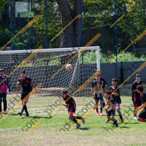 Campeonato Novos Talentos em Ouro Fino
