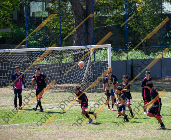 Campeonato Novos Talentos em Ouro Fino