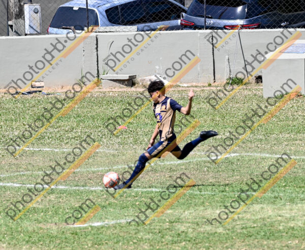 Campeonato Novos Talentos em Ouro Fino