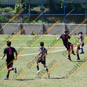 Campeonato Novos Talentos em Ouro Fino
