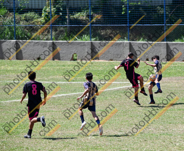Campeonato Novos Talentos em Ouro Fino