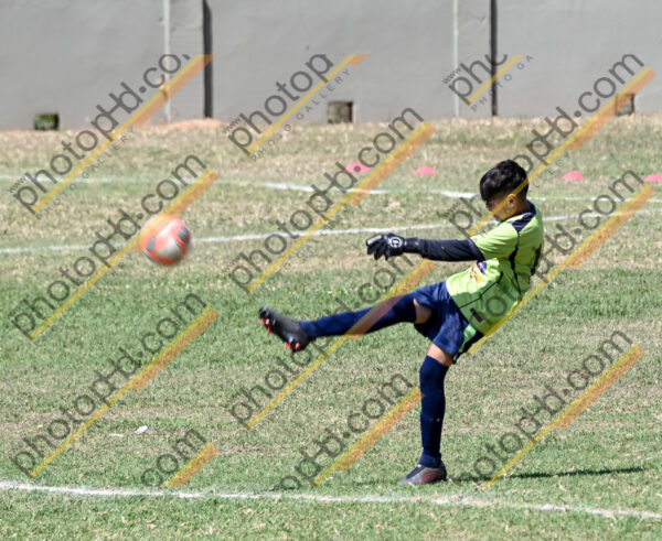 Campeonato Novos Talentos em Ouro Fino
