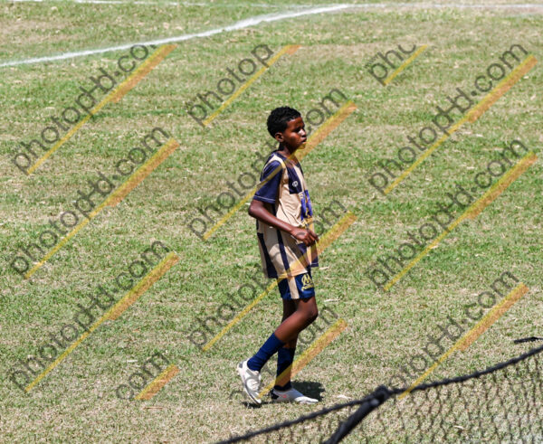Campeonato Novos Talentos em Ouro Fino