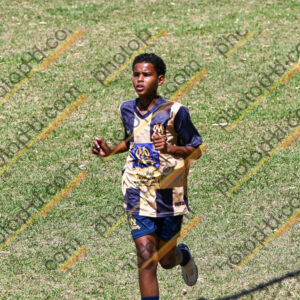 Campeonato Novos Talentos em Ouro Fino