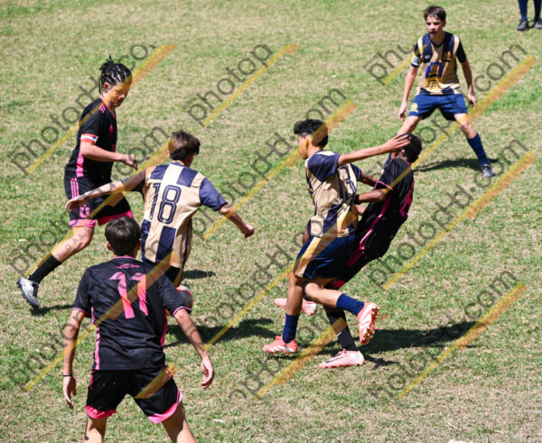 Campeonato Novos Talentos em Ouro Fino