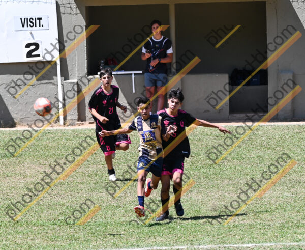 Campeonato Novos Talentos em Ouro Fino