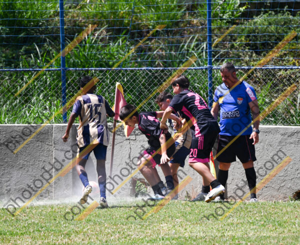 Campeonato Novos Talentos em Ouro Fino