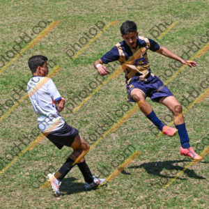 Campeonato Novos Talentos em Ouro Fino