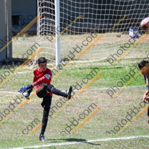 Campeonato Novos Talentos em Ouro Fino