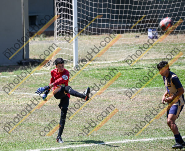 Campeonato Novos Talentos em Ouro Fino