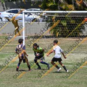 Campeonato Novos Talentos em Ouro Fino