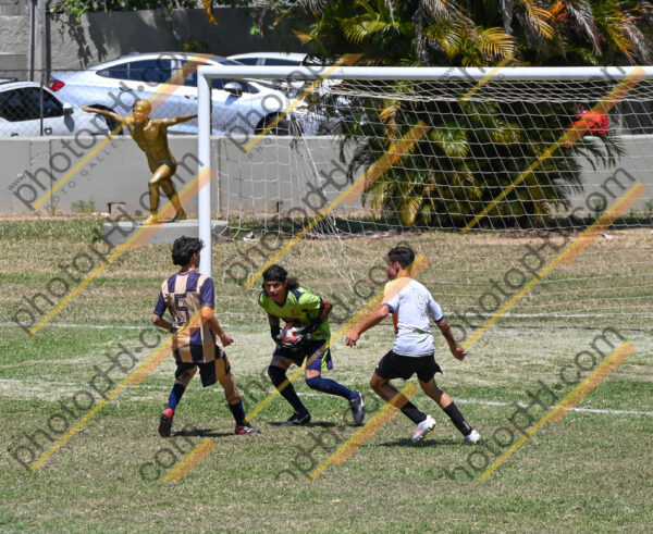 Campeonato Novos Talentos em Ouro Fino