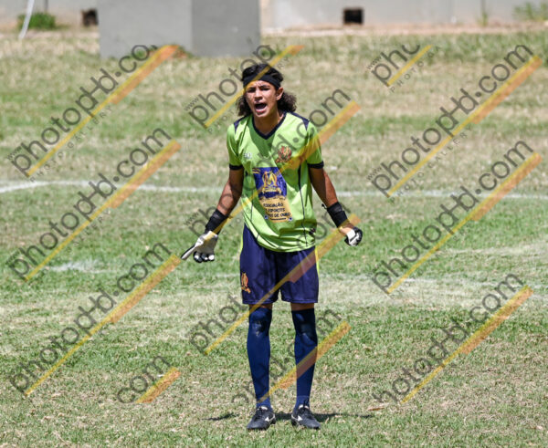 Campeonato Novos Talentos em Ouro Fino