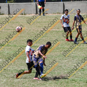 Campeonato Novos Talentos em Ouro Fino