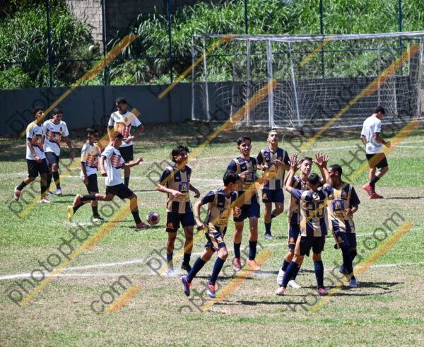 Campeonato Novos Talentos em Ouro Fino