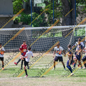 Campeonato Novos Talentos em Ouro Fino