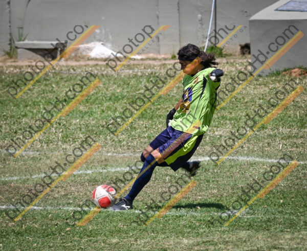 Campeonato Novos Talentos em Ouro Fino