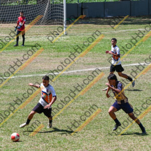 Campeonato Novos Talentos em Ouro Fino